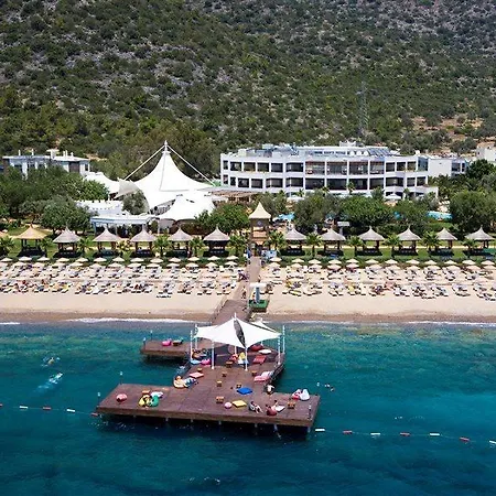 Latanya Park 雅丽丝弗里克