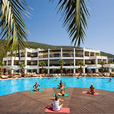 Latanya Park 雅丽丝弗里克