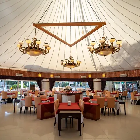 Latanya Park 雅丽丝弗里克