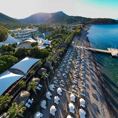 Latanya Park 雅丽丝弗里克