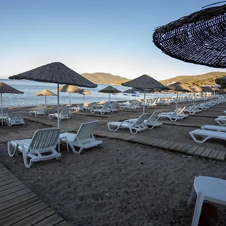 Latanya Park 4* 雅丽丝弗里克