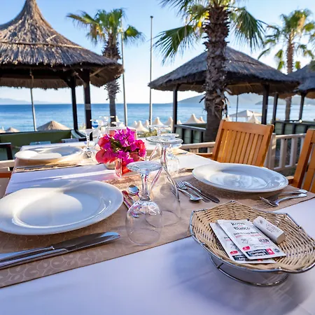 度假村 Latanya Park