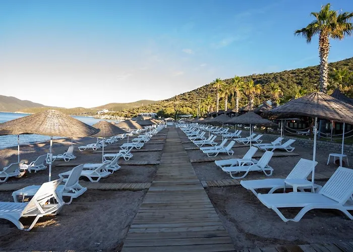 Latanya Park Semesteranläggning (resort) Yaliciftlik