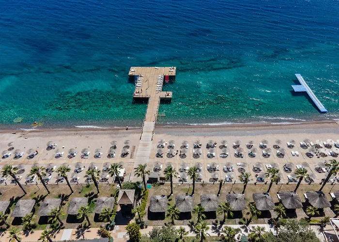 Latanya Park 4*