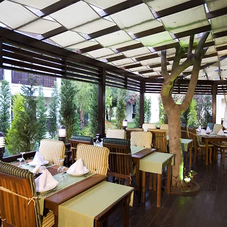 Latanya Park Yaliciftlik