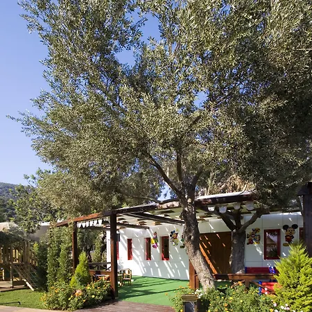 Latanya Park 4* Yaliciftlik