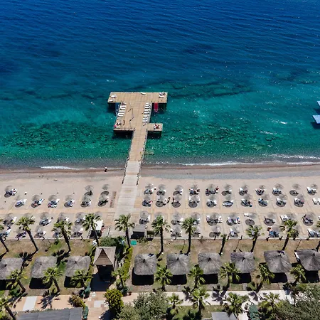 Latanya Park 4*